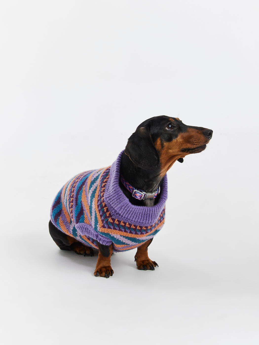 Strickpullover „Kirby Dogs“