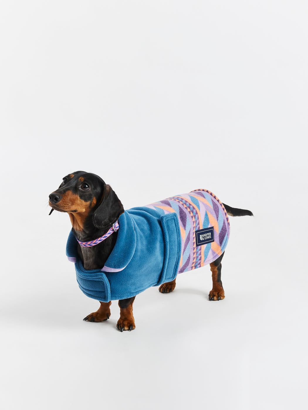 Sloan Honden Fleece