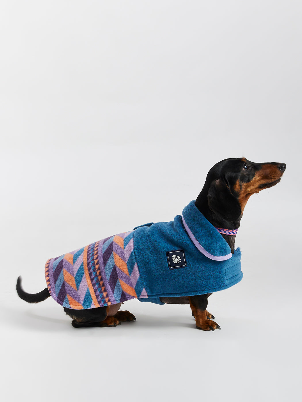 Sloan Dogs Fleece