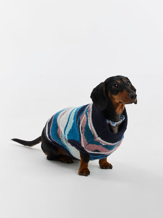 Jude Dogs Strickpullover