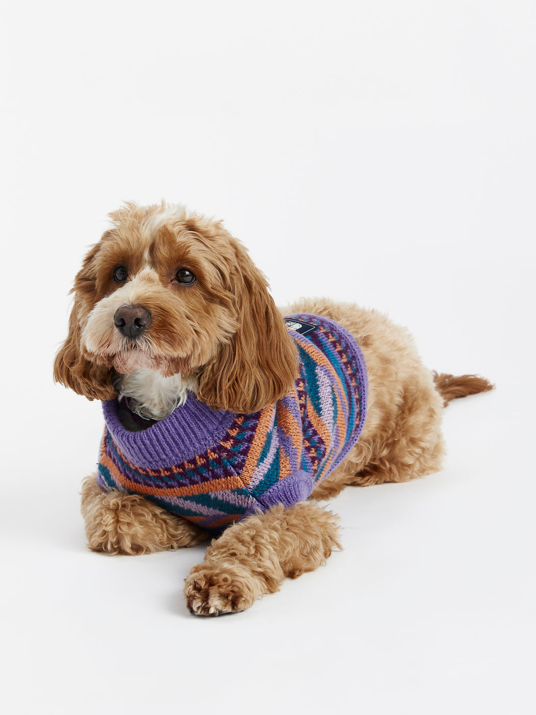 Kirby Dogs Knitted Jumper