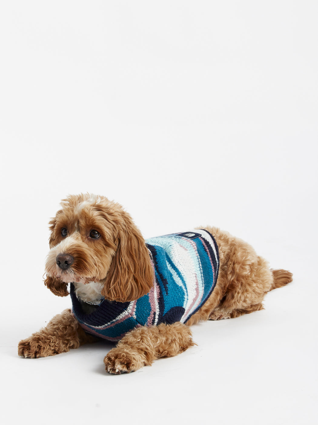 Jude Dogs Strickpullover