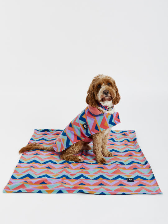 Raver Honden Fleece