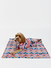 Raver Dogs Fleece Blanket