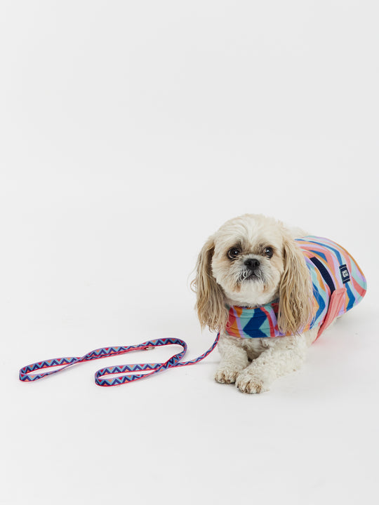 Raver Honden Fleece