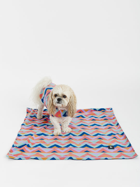 Raver Honden Fleece