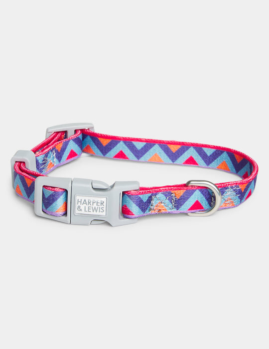 Raver Hondenhalsband Klein