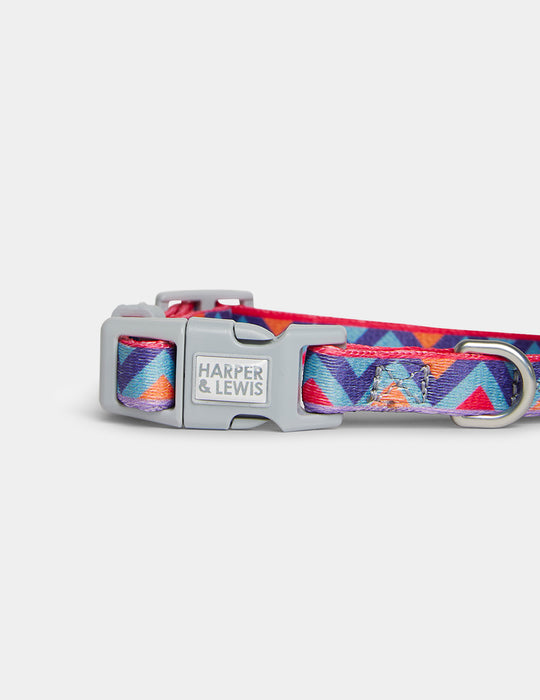 Raver Dog Collar Small