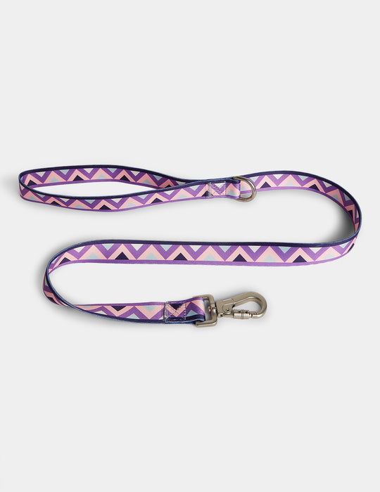 Polar Dog Lead Small