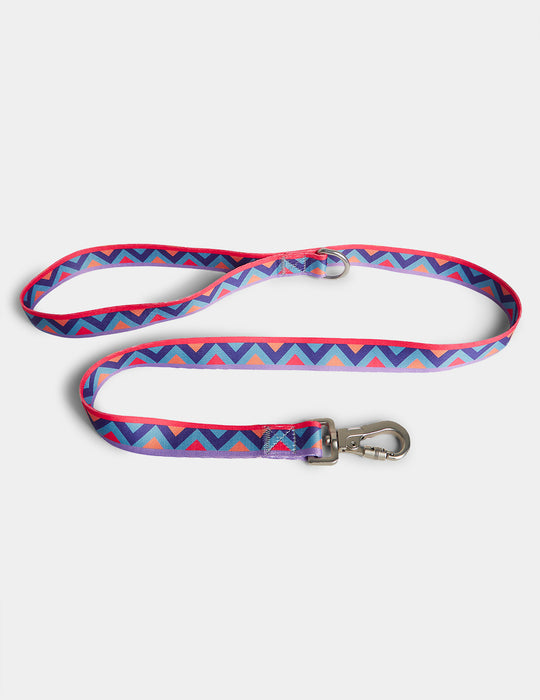 Raver Dog Lead Small