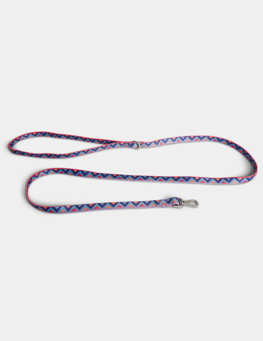 Raver Dog Lead Large