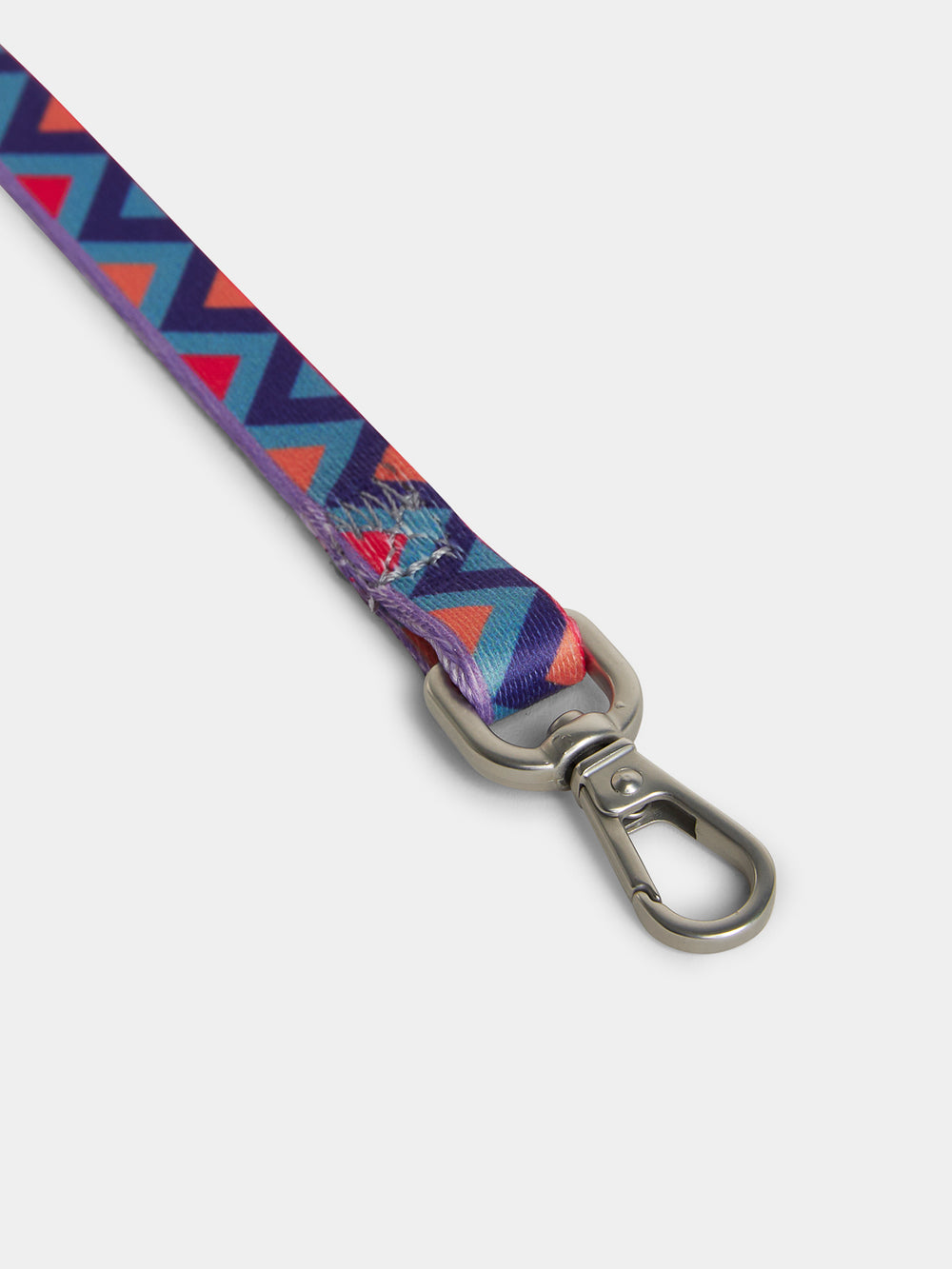 Raver Dog Lead Small